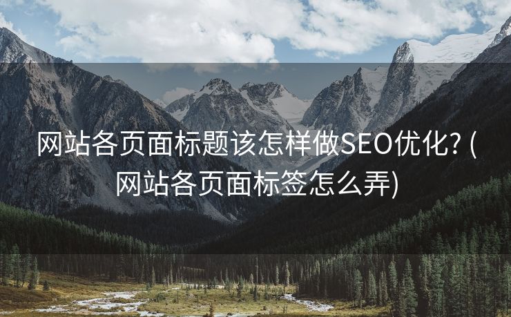 网站各页面标题该怎样做SEO优化? (网站各页面标签怎么弄)