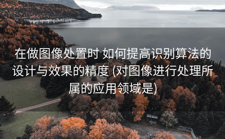 在做图像处置时 如何提高识别算法的设计与效果的精度 (对图像进行处理所属的应用领域是)