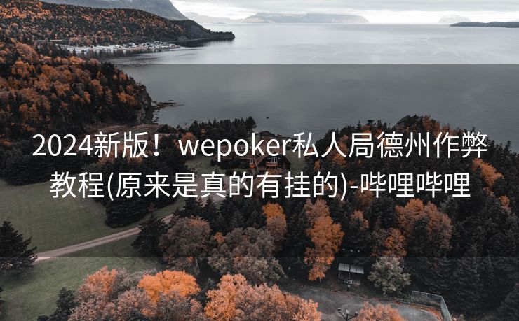 2024新版！wepoker私人局德州作弊教程(原来是真的有挂的)-哔哩哔哩