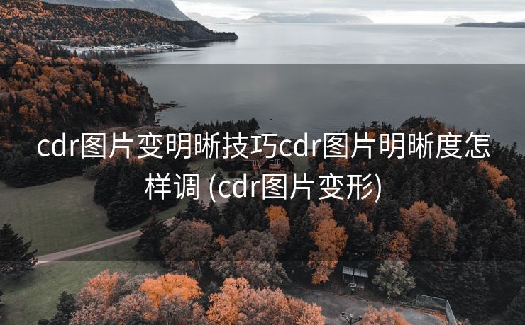 cdr图片变明晰技巧cdr图片明晰度怎样调 (cdr图片变形)