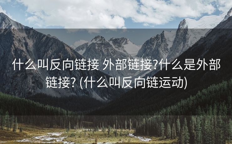 什么叫反向链接 外部链接?什么是外部链接? (什么叫反向链运动)