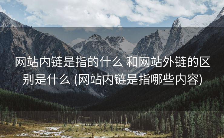 网站内链是指的什么 和网站外链的区别是什么 (网站内链是指哪些内容)