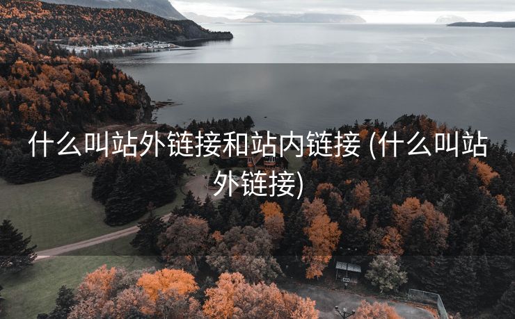 什么叫站外链接和站内链接 (什么叫站外链接)