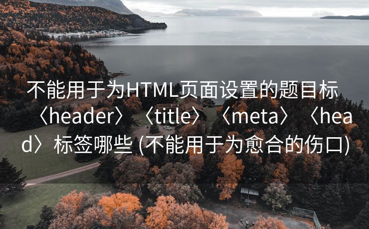 不能用于为HTML页面设置的题目标 〈header〉〈title〉〈meta〉〈head〉标签哪些 (不能用于为愈合的伤口)
