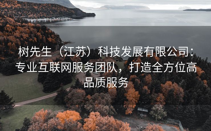 树先生（江苏）科技发展有限公司：专业互联网服务团队，打造全方位高品质服务