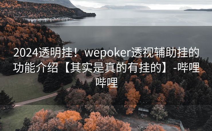 2024透明挂！wepoker透视辅助挂的功能介绍【其实是真的有挂的】-哔哩哔哩