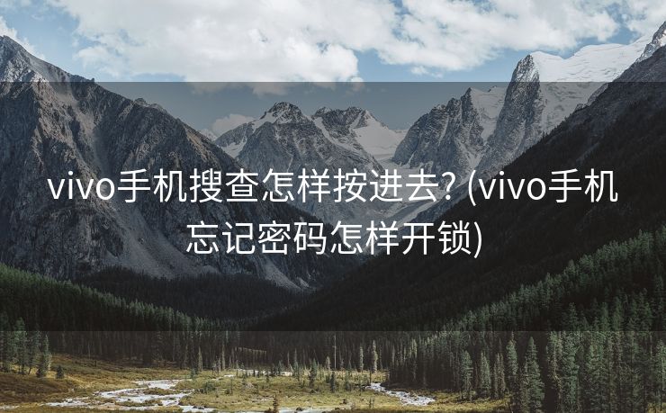 vivo手机搜查怎样按进去? (vivo手机忘记密码怎样开锁)