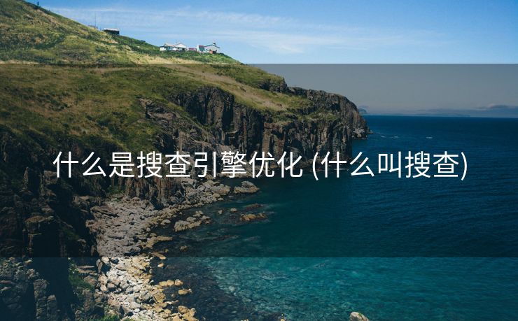 什么是搜查引擎优化 (什么叫搜查)