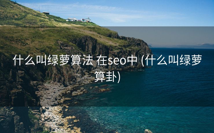 什么叫绿萝算法 在seo中 (什么叫绿萝算卦)