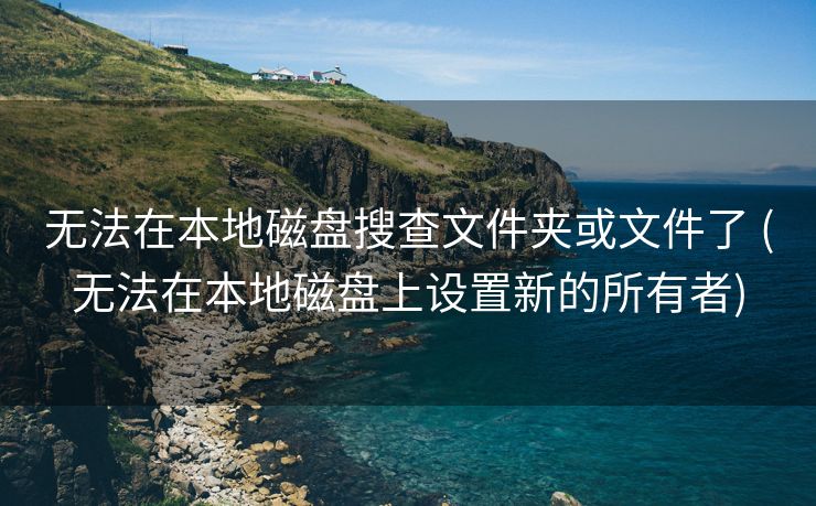 无法在本地磁盘搜查文件夹或文件了 (无法在本地磁盘上设置新的所有者)