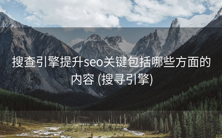 搜查引擎提升seo关键包括哪些方面的内容 (搜寻引擎)