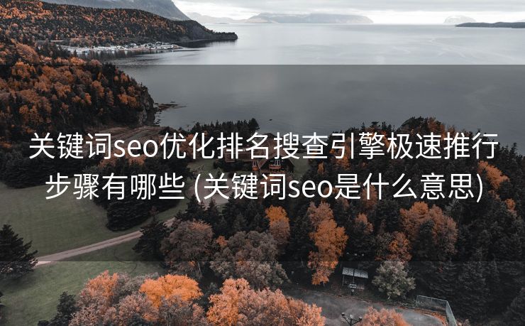 关键词seo优化排名搜查引擎极速推行步骤有哪些 (关键词seo是什么意思)