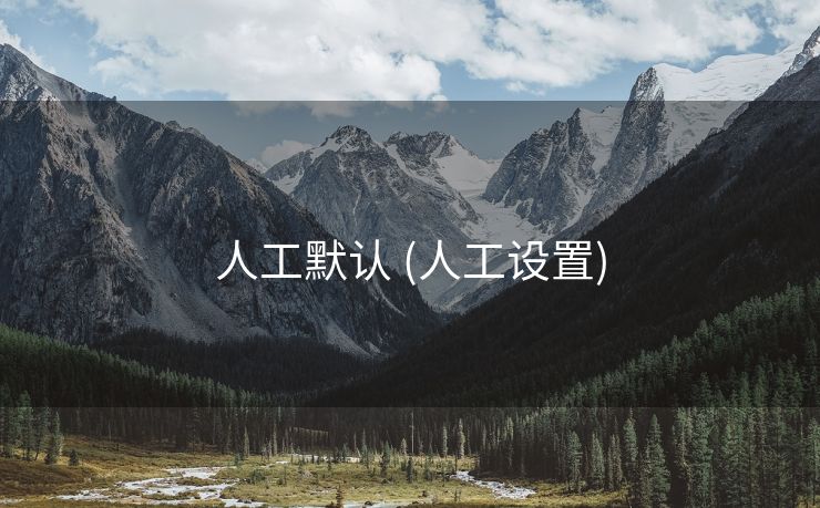 人工默认 (人工设置)