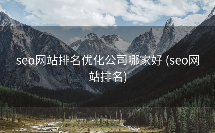 seo网站排名优化公司哪家好 (seo网站排名)