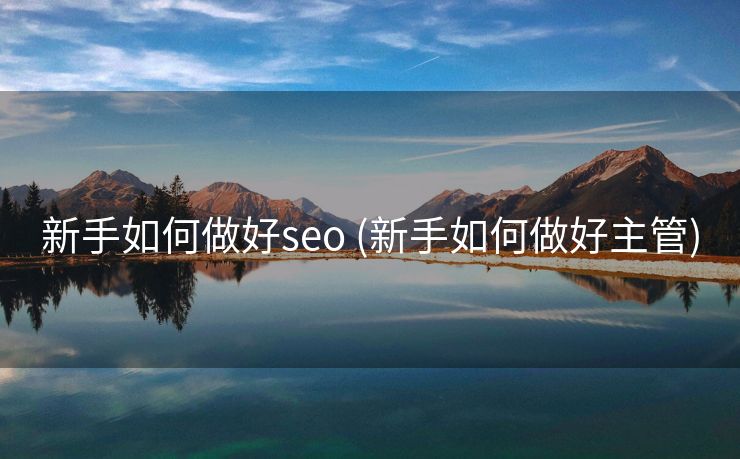 新手如何做好seo (新手如何做好主管)