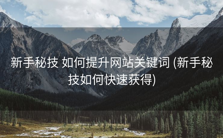 新手秘技 如何提升网站关键词 (新手秘技如何快速获得)
