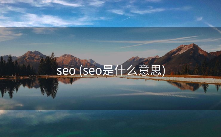 seo (seo是什么意思)