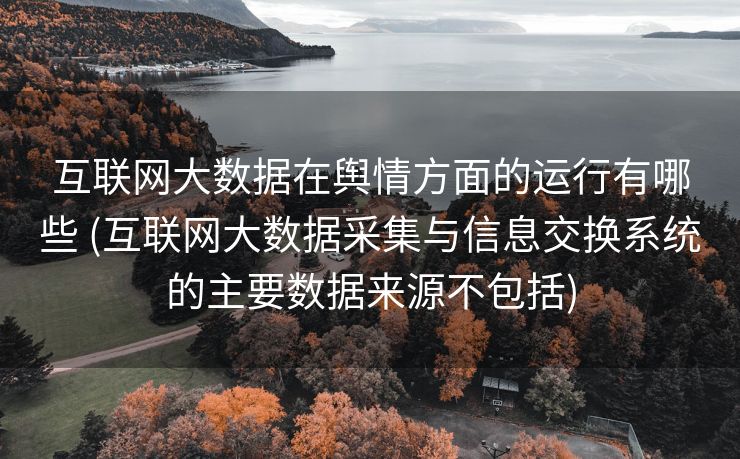 互联网大数据在舆情方面的运行有哪些 (互联网大数据采集与信息交换系统的主要数据来源不包括)
