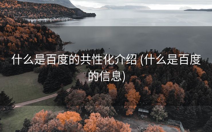 什么是百度的共性化介绍 (什么是百度的信息)