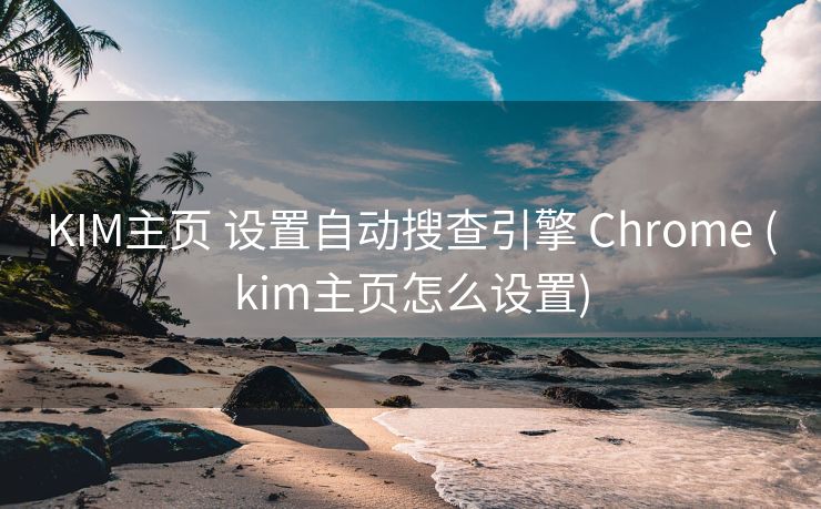 KIM主页 设置自动搜查引擎 Chrome (kim主页怎么设置)