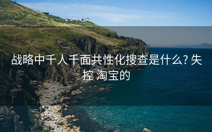 战略中千人千面共性化搜查是什么? 失控 淘宝的