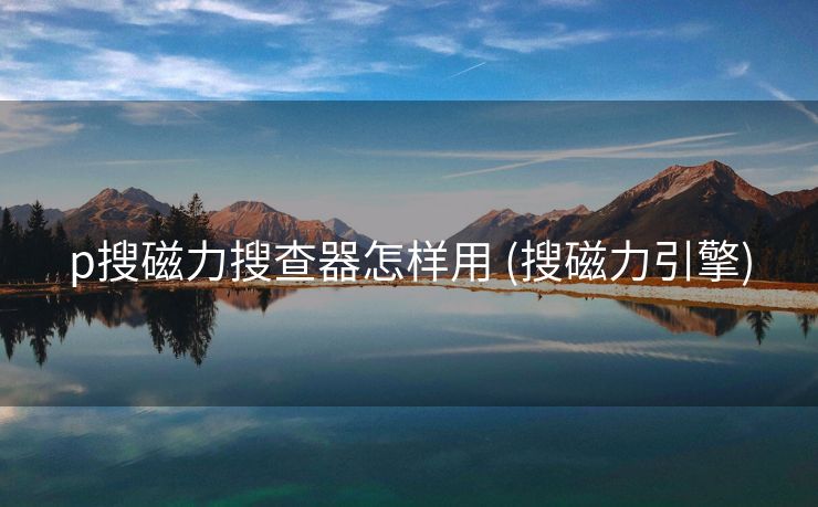 p搜磁力搜查器怎样用 (搜磁力引擎)