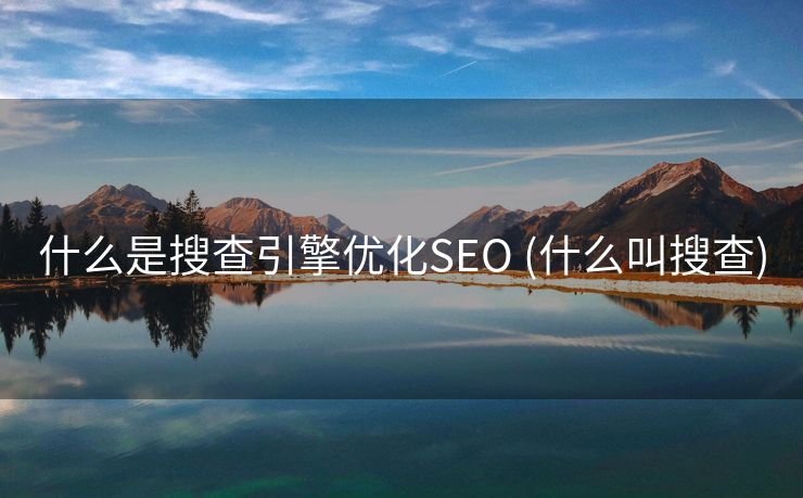 什么是搜查引擎优化SEO (什么叫搜查)