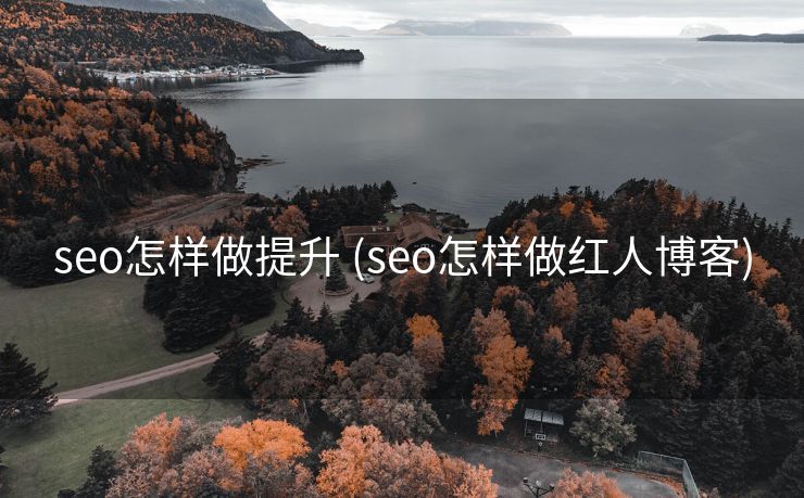 seo怎样做提升 (seo怎样做红人博客)