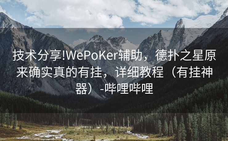 技术分享!WePoKer辅助，德扑之星原来确实真的有挂，详细教程（有挂神器）-哔哩哔哩
