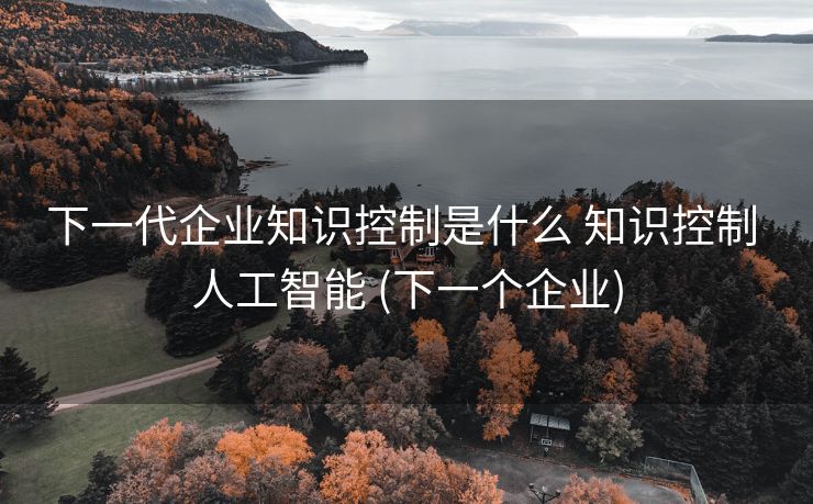 下一代企业知识控制是什么 知识控制 人工智能 (下一个企业)