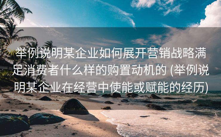 举例说明某企业如何展开营销战略满足消费者什么样的购置动机的 (举例说明某企业在经营中使能或赋能的经历)