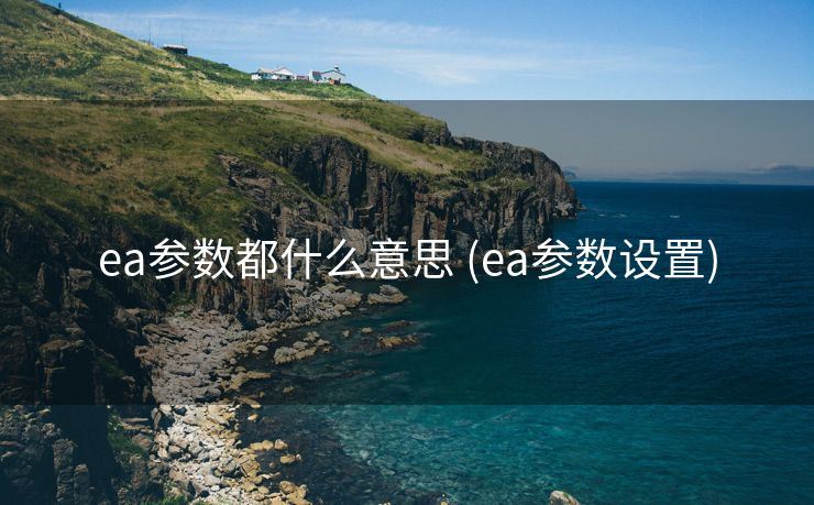ea参数都什么意思 (ea参数设置)