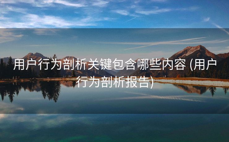 用户行为剖析关键包含哪些内容 (用户行为剖析报告)