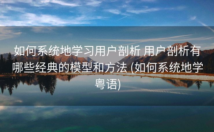 如何系统地学习用户剖析 用户剖析有哪些经典的模型和方法 (如何系统地学粤语)