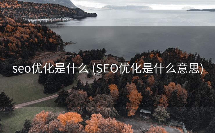 seo优化是什么 (SEO优化是什么意思)