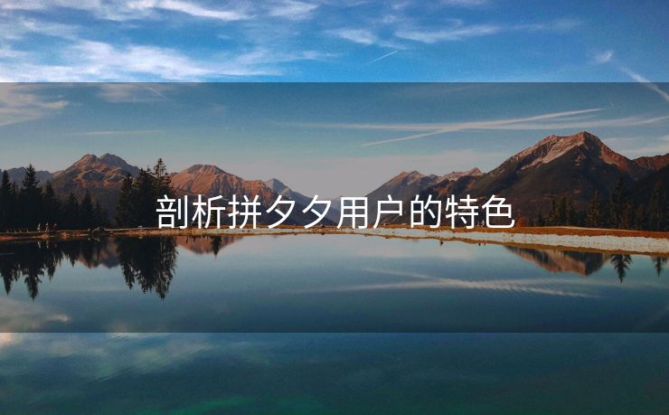 剖析拼夕夕用户的特色