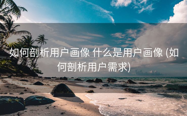 如何剖析用户画像 什么是用户画像 (如何剖析用户需求)