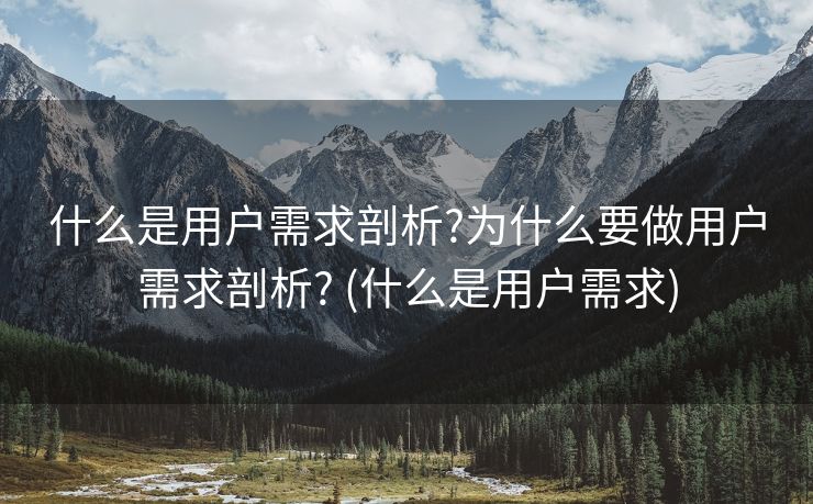 什么是用户需求剖析?为什么要做用户需求剖析? (什么是用户需求)