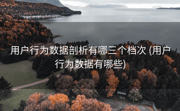 用户行为数据剖析有哪三个档次 (用户行为数据有哪些)