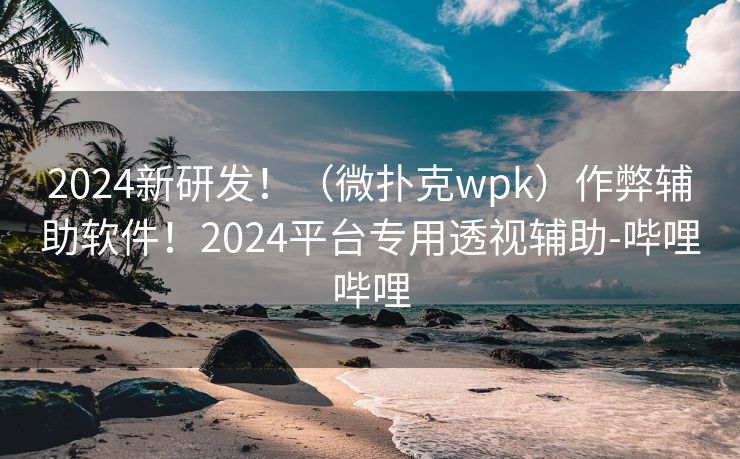 2024新研发！（微扑克wpk）作弊辅助软件！2024平台专用透视辅助-哔哩哔哩