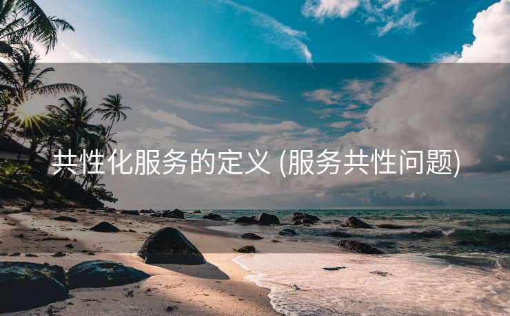 共性化服务的定义 (服务共性问题)