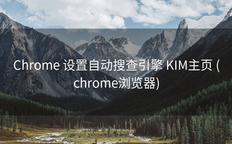 Chrome 设置自动搜查引擎 KIM主页 (chrome浏览器)