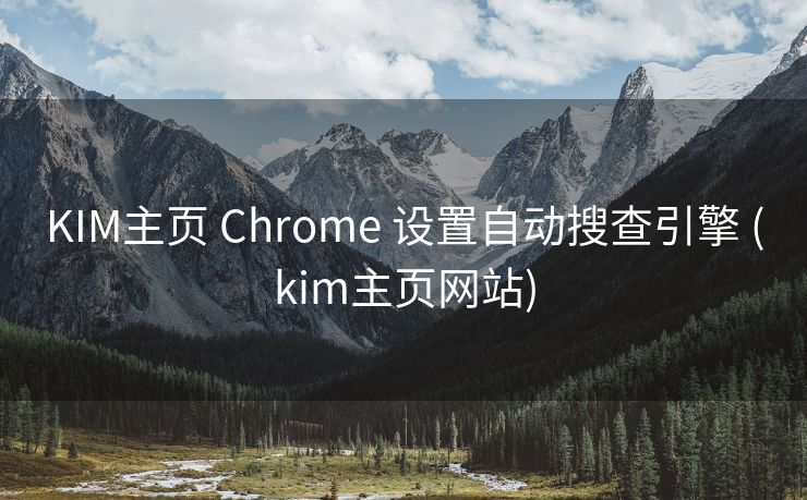 KIM主页 Chrome 设置自动搜查引擎 (kim主页网站)