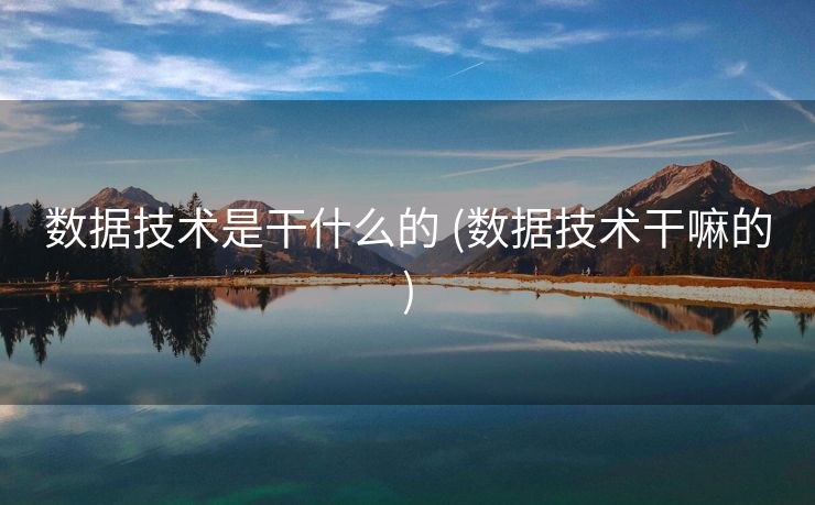 数据技术是干什么的 (数据技术干嘛的)