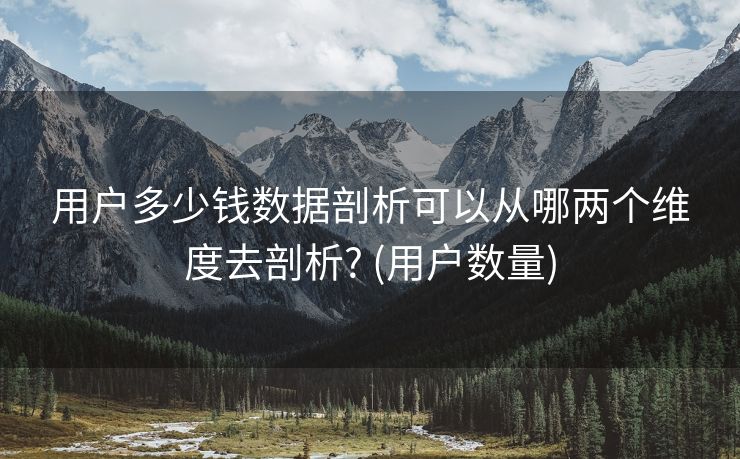 用户多少钱数据剖析可以从哪两个维度去剖析? (用户数量)