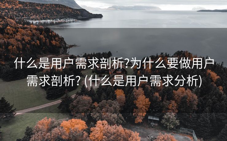 什么是用户需求剖析?为什么要做用户需求剖析? (什么是用户需求分析)
