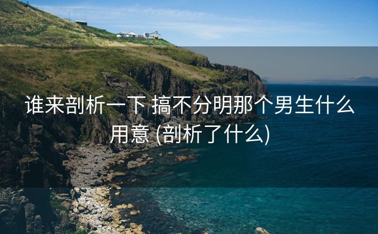 谁来剖析一下 搞不分明那个男生什么用意 (剖析了什么)