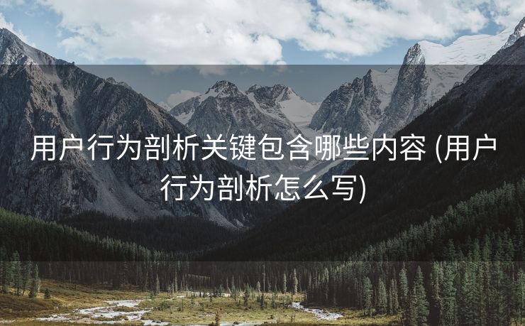 用户行为剖析关键包含哪些内容 (用户行为剖析怎么写)