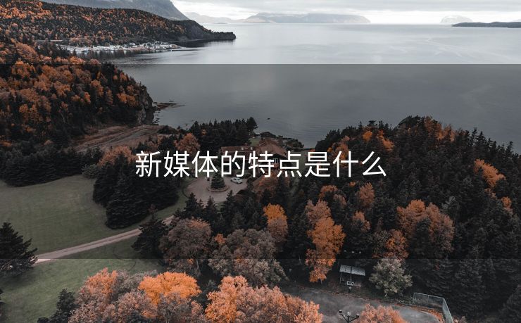 新媒体的特点是什么