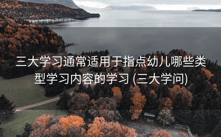 三大学习通常适用于指点幼儿哪些类型学习内容的学习 (三大学问)